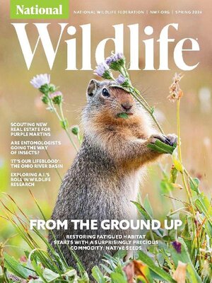 cover image of National Wildlife